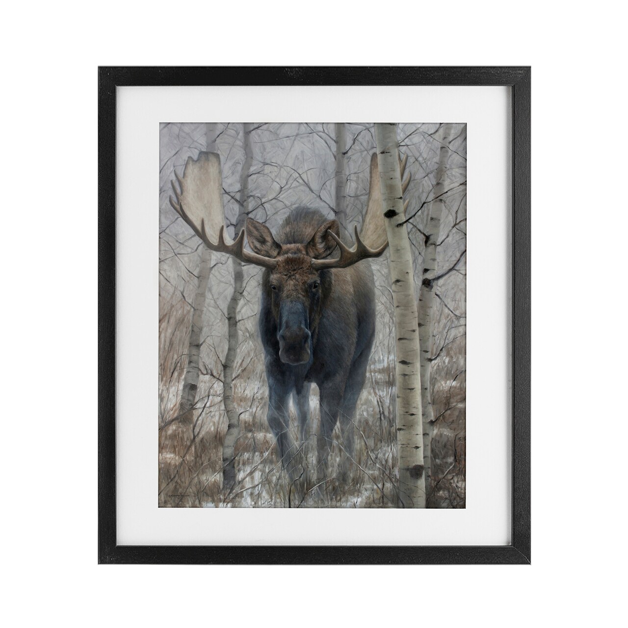 Stupell Industries Moose in Winter Birch Forest Framed Print Under Glass, design by James Corwin